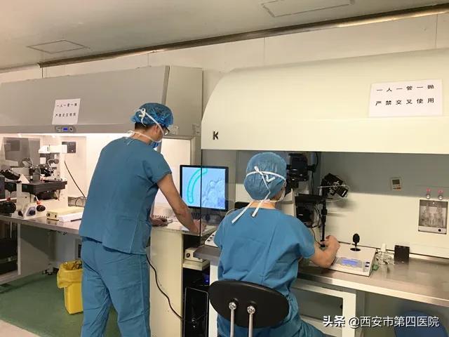 西安试管婴儿哪家好 西安试管婴儿哪家好