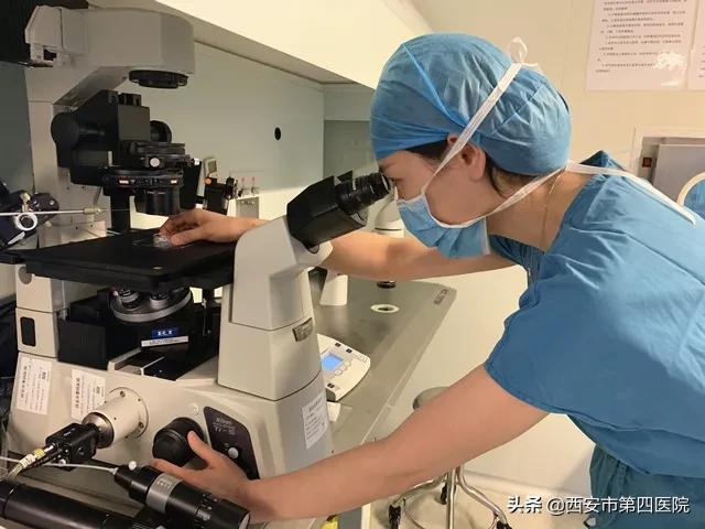 西安试管婴儿哪家好 西安试管婴儿哪家好