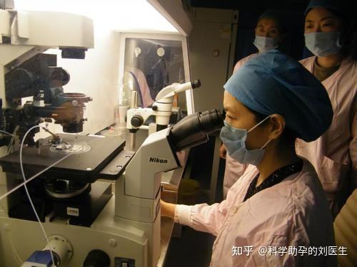 沈阳做试管婴儿需要多少钱沈阳二代试管婴儿大概多少钱
