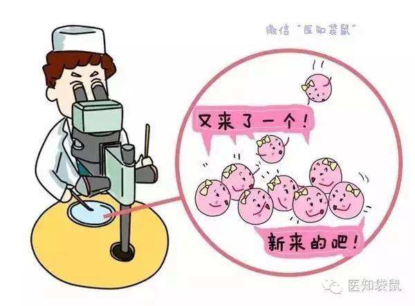吉大二院试管婴儿长春试管婴儿最好医院