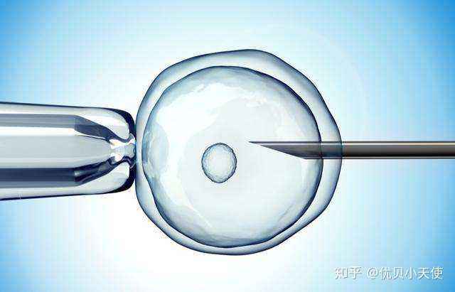 海军试管婴儿做试管婴儿要多少钱