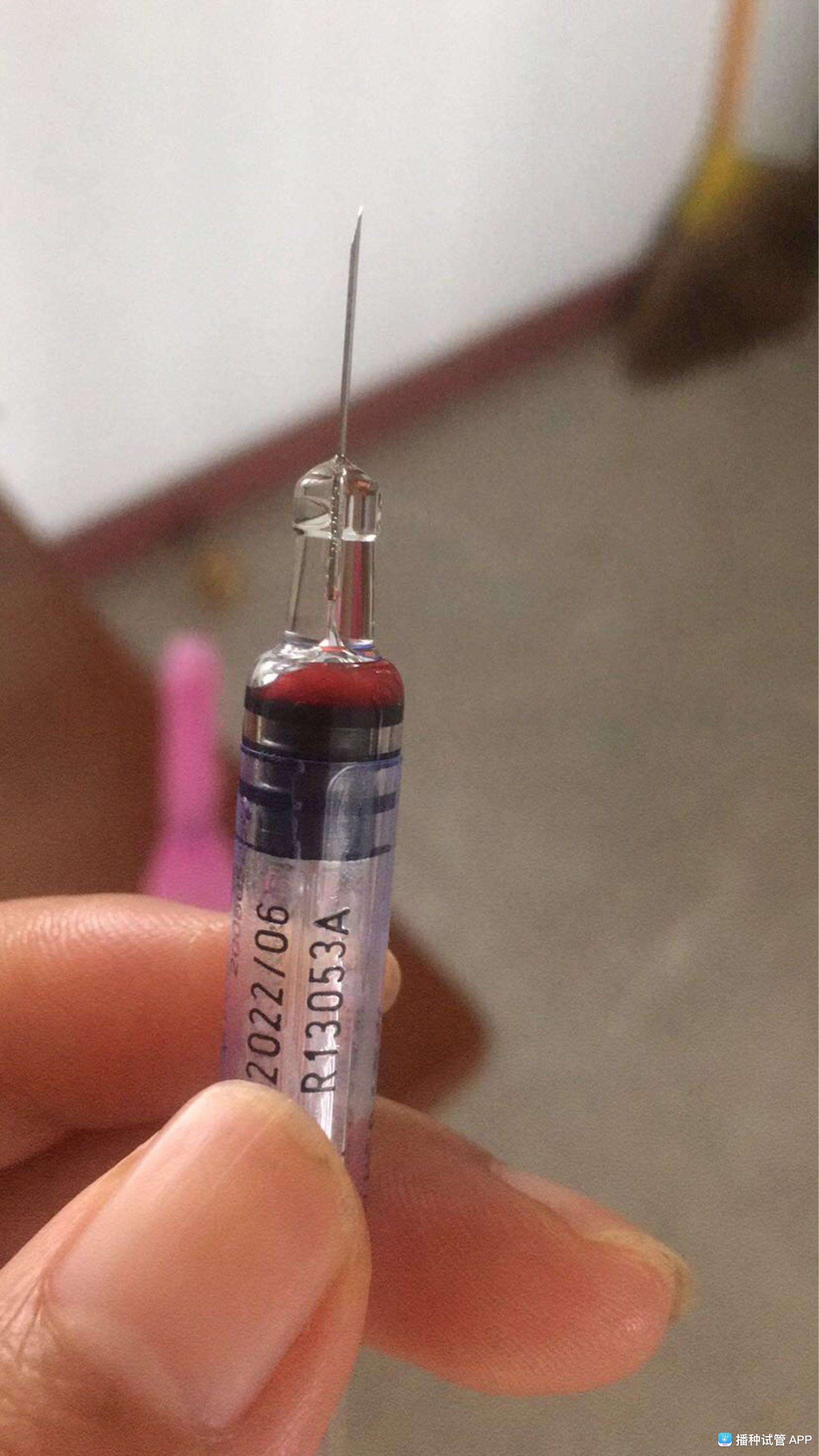 试管婴儿前打针视频试管婴儿打肝素针视频教程