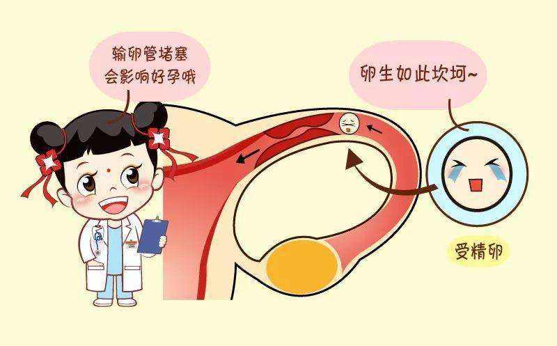 试管婴儿小说女主做试管婴儿的小说