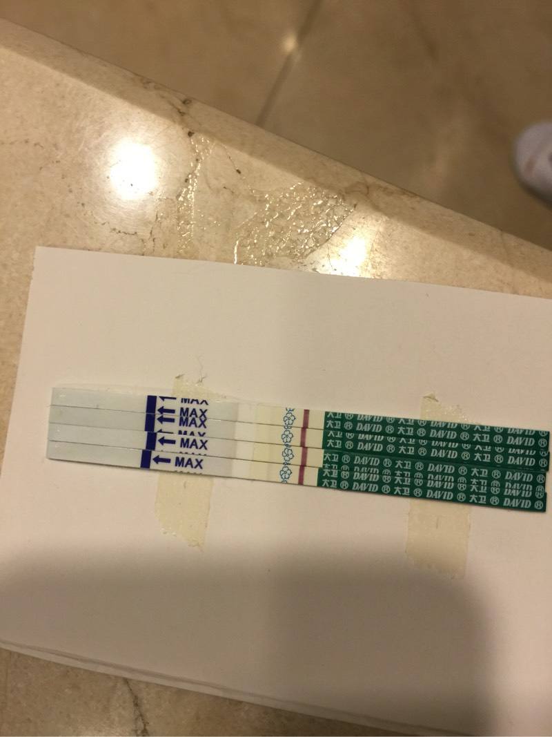 试管婴儿童梦无忧吃乐孕宝可以提高卵子质量吗