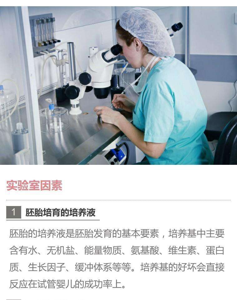 包含试管婴儿优胚和普通胚的词条
