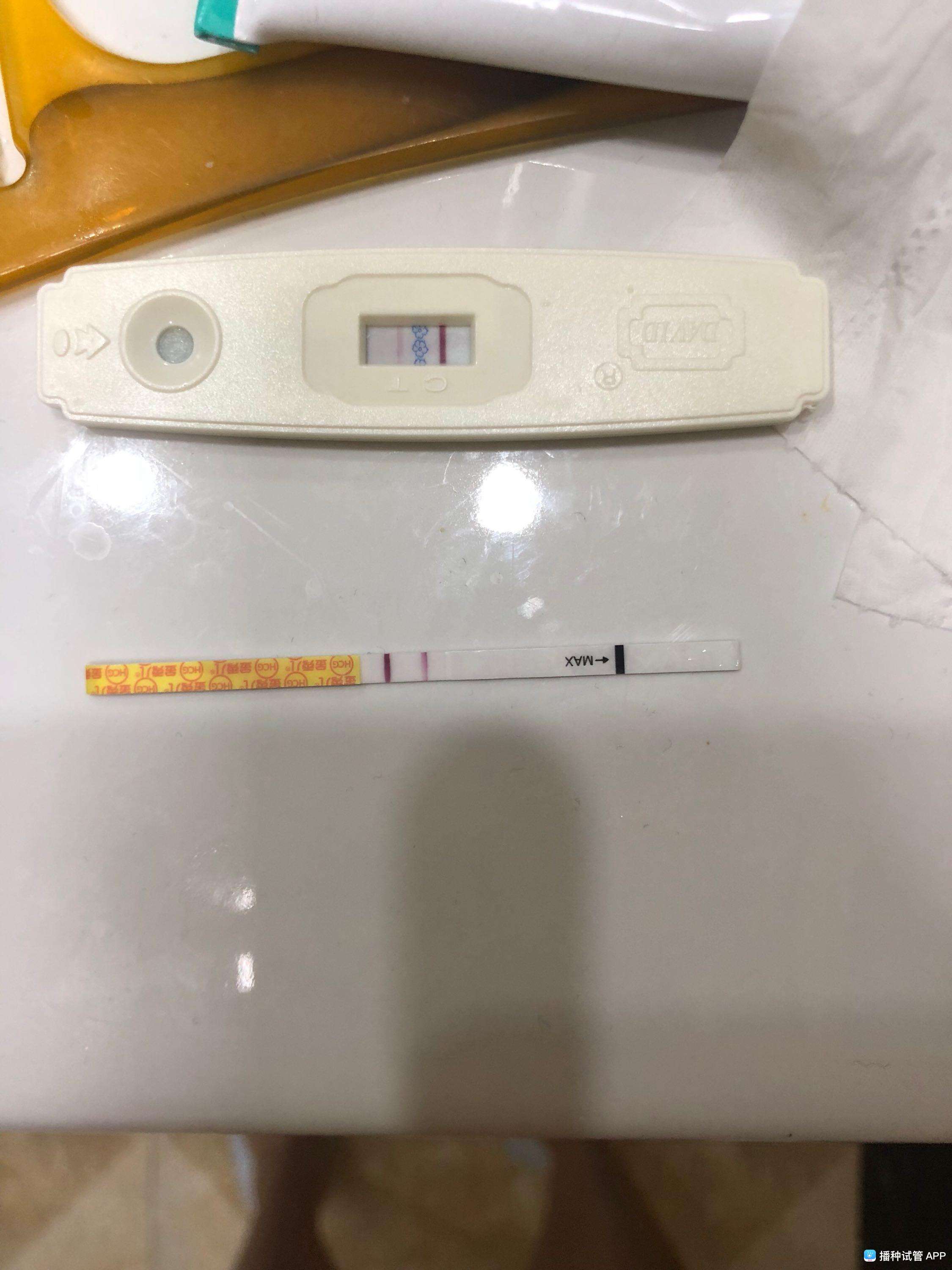 试管婴儿移植后十四天移植14天以后注意什么