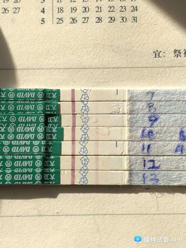 试管婴儿移植后十四天移植14天以后注意什么