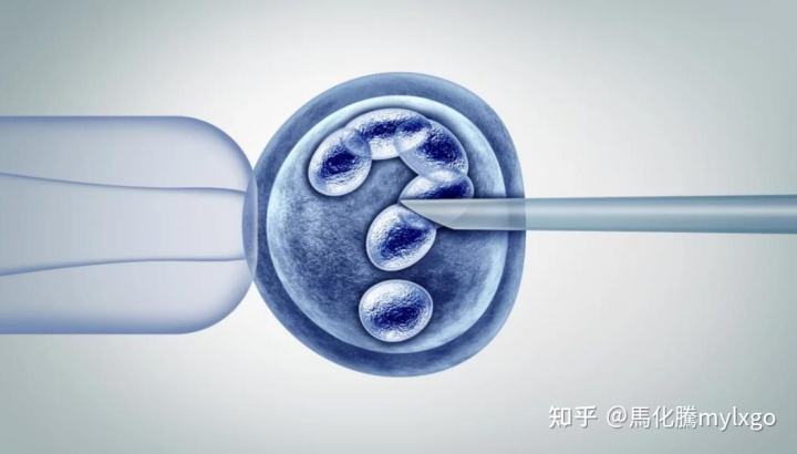 试管婴儿涨价了(试管婴儿花费明细表)