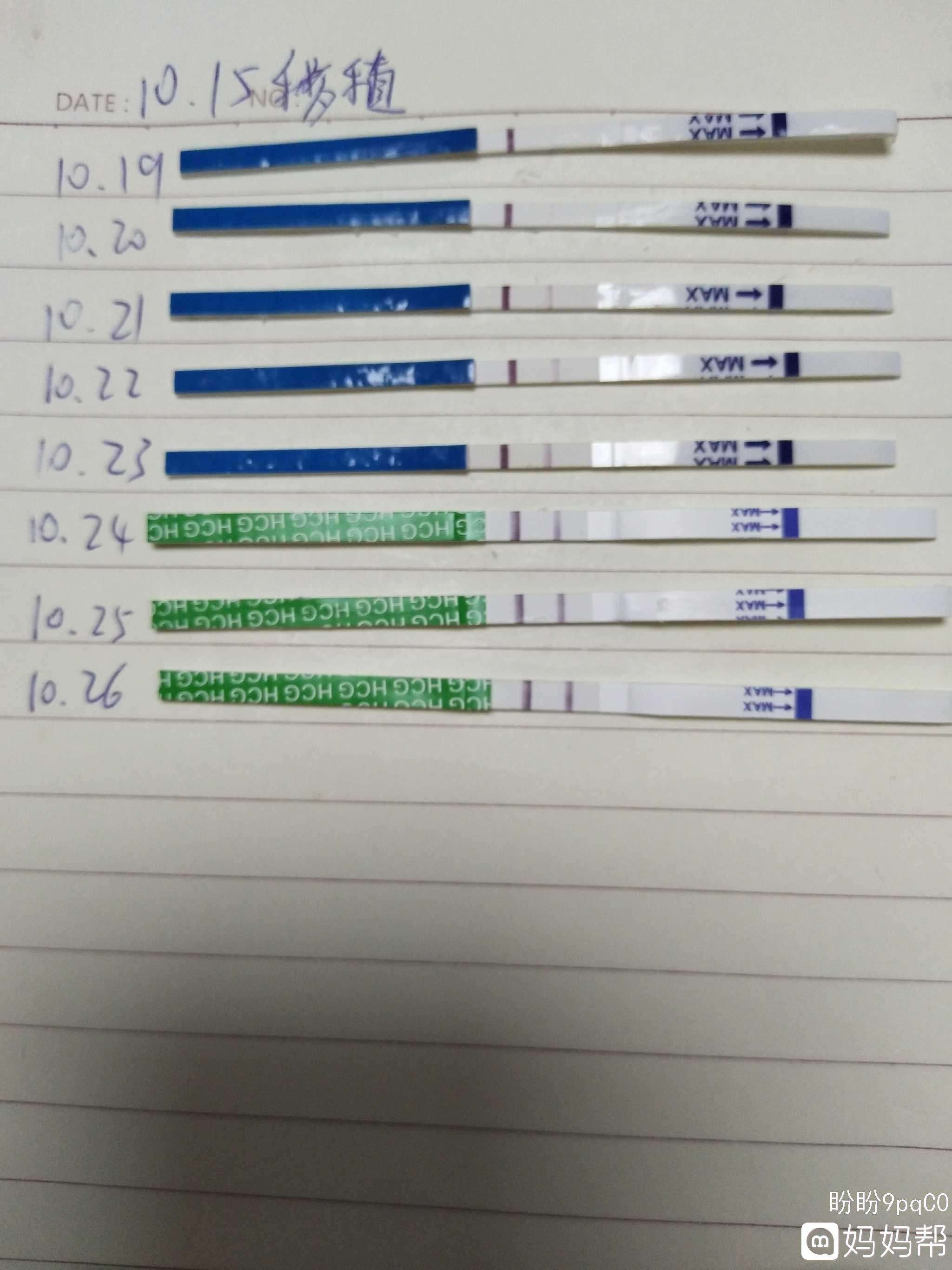 试管婴儿第10天冻胚移植第10天能测到吗
