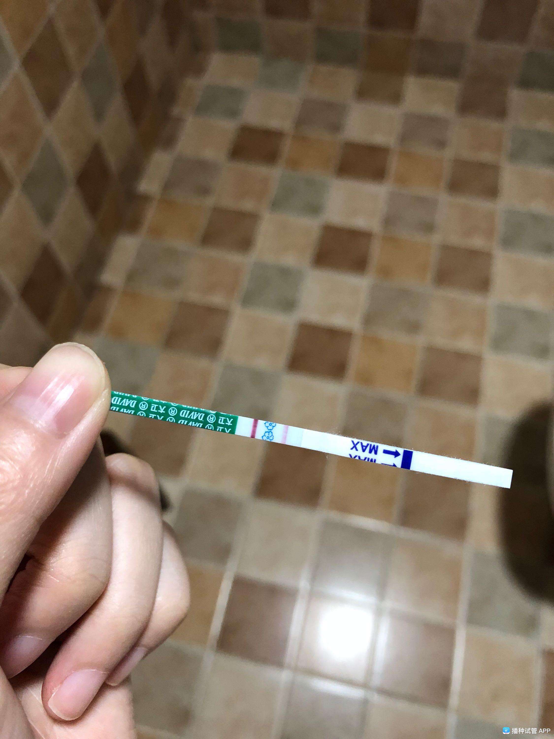 试管婴儿第10天冻胚移植第10天能测到吗
