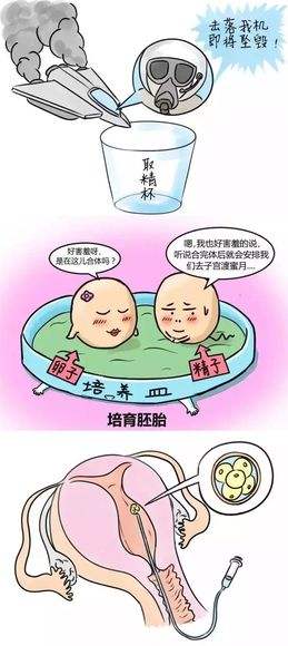 试管婴儿成功率有高吗做试管婴儿百分百成功吗