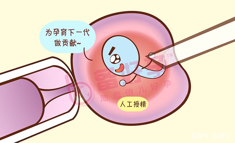 试管婴儿感冒(什么是试管感冒)