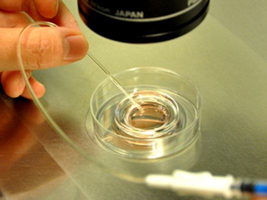 试管婴儿哪些检查试管婴儿必须做的检查