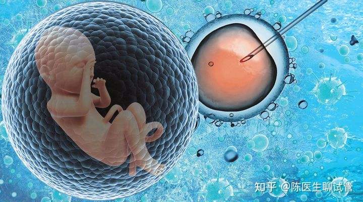 佛山试管婴儿费用有在佛山妇幼试管的吗