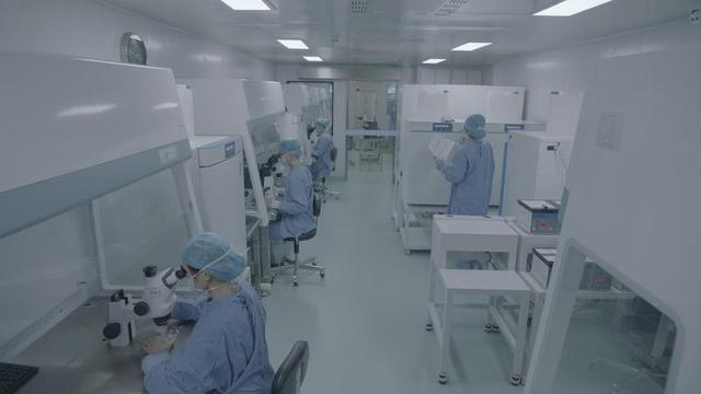 深圳试管婴儿成功率高吗 深圳试管婴儿成功率高吗