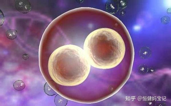 试管婴儿成功率多大试管婴儿能决定男女吗