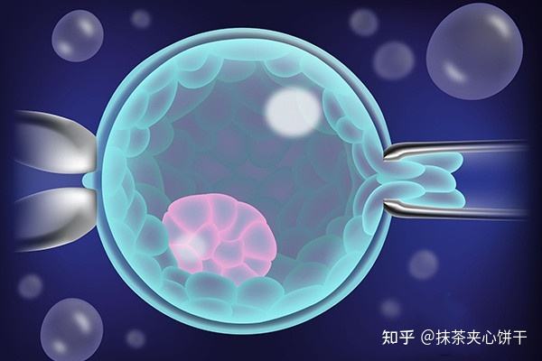 三代试管婴儿价钱(生了试管婴儿后悔了)