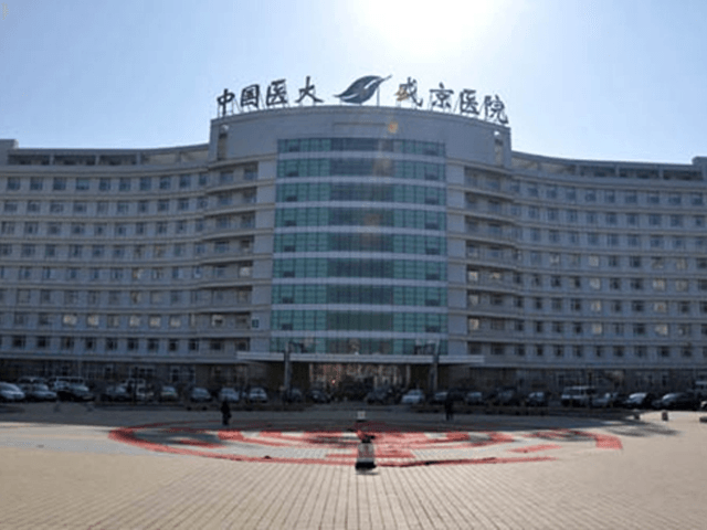 盛京医院试管婴儿(沈阳盛京三代试管费用)