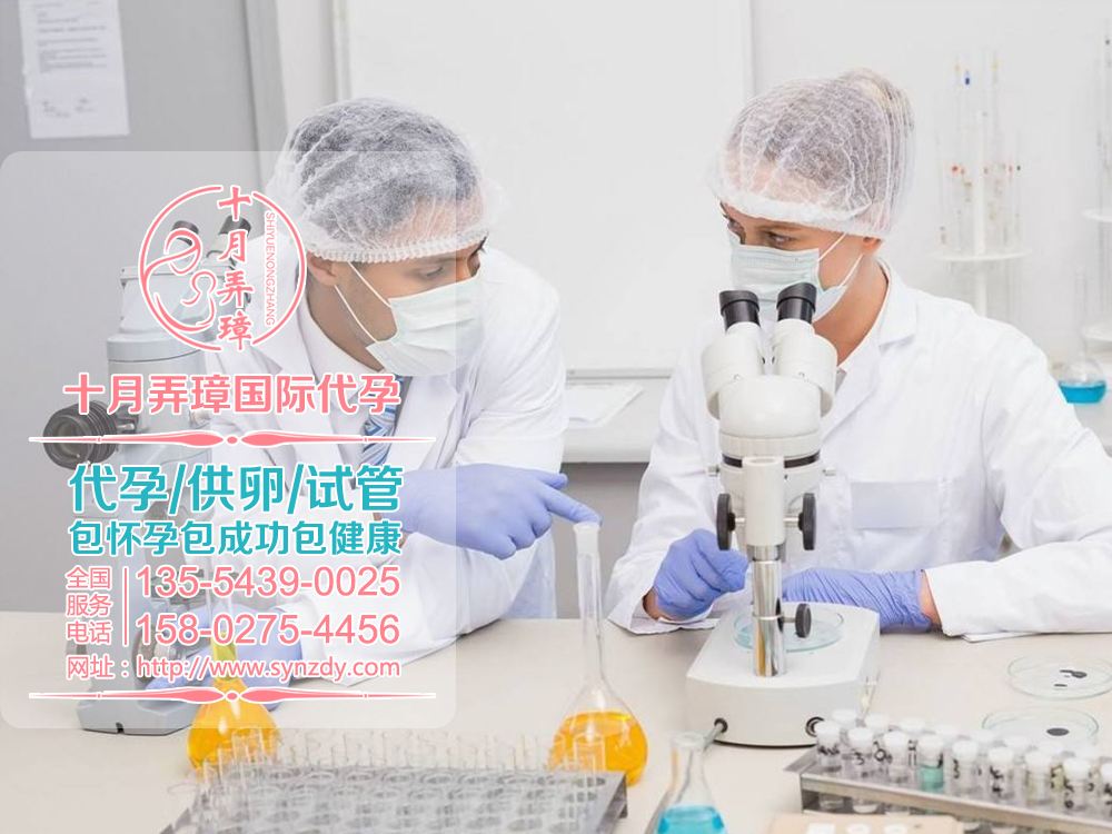 试管婴儿多少钱了为什么要做试管婴儿