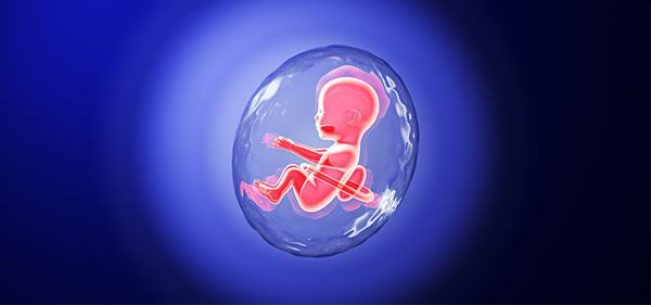 试管婴儿移植几个(冻胚一般移植几个胚胎)