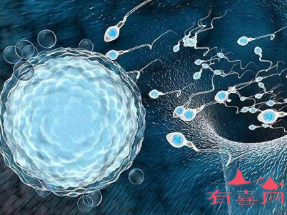 试管婴儿精子最低要求做试管对精子浓度的要求