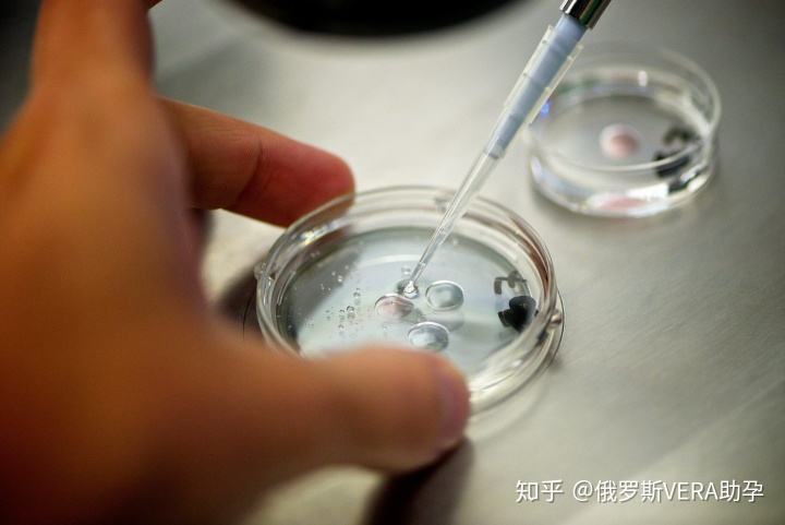 关于上海试管上海试管婴儿多少钱的信息