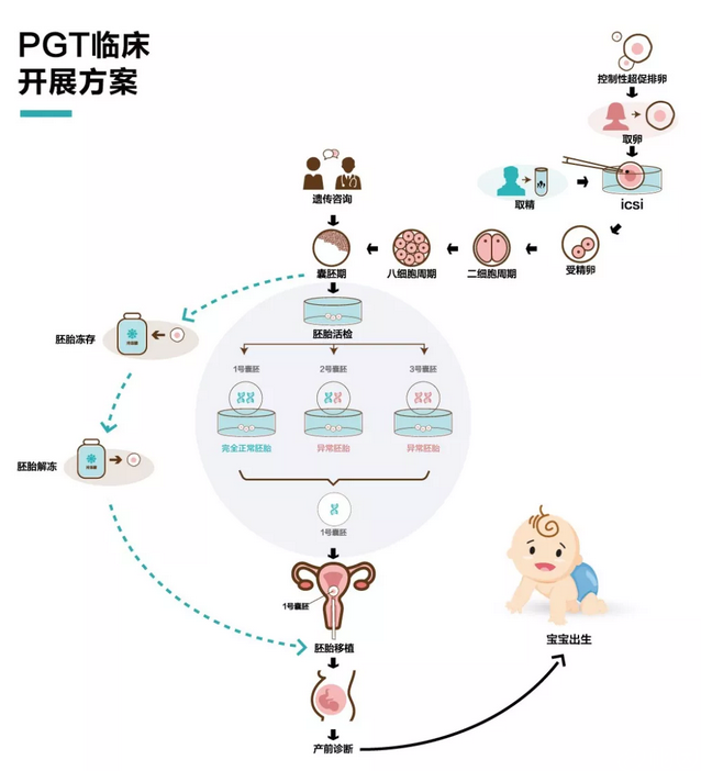 列表试管婴儿试管婴儿步骤过程详细