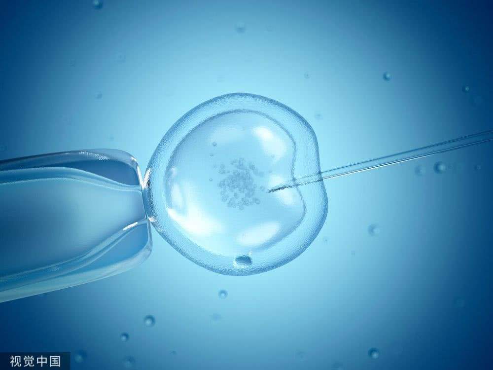 试管婴儿取卵后注意试管取卵前注意事项有哪些