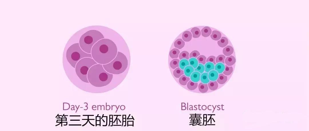 毓璜顶试管婴儿济南试管婴儿费用明细