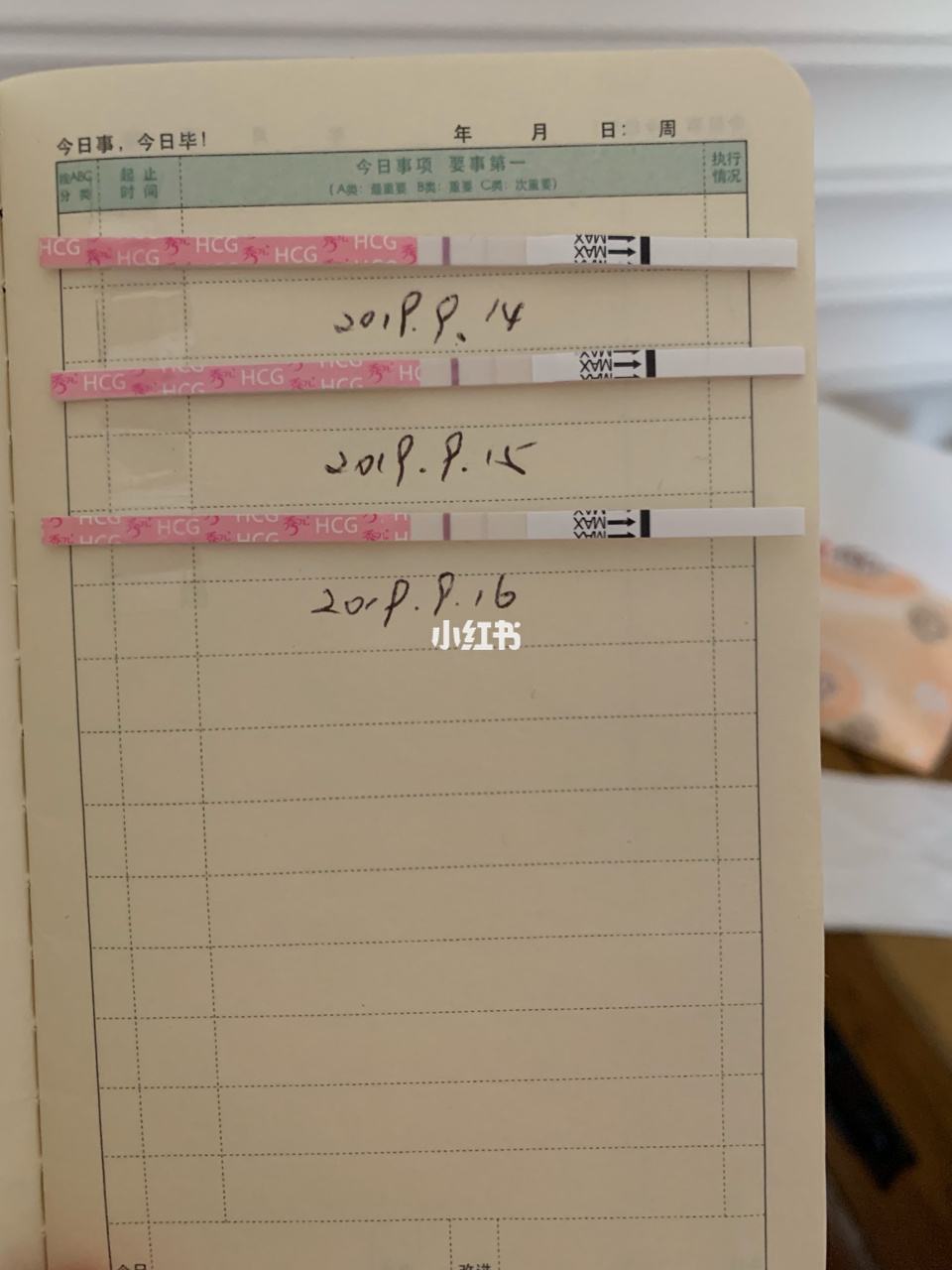 试管婴儿11天(移植十天症状消失好孕)