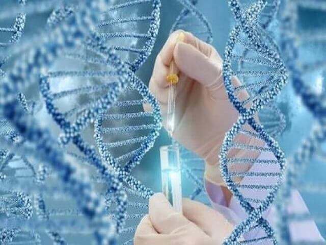 广州第三代试管婴儿成功率的简单介绍