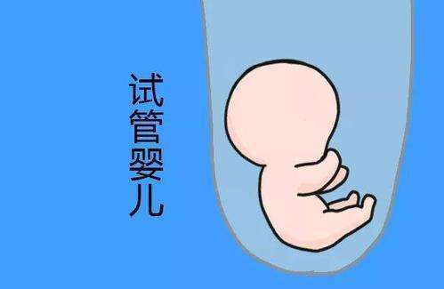 试管婴儿移植疼试管婴儿移植的时候疼不疼