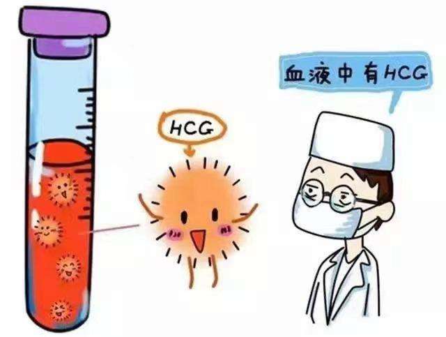 试管婴儿移植后出血正常吗(试管婴儿移植后出血是怎么回事呢)