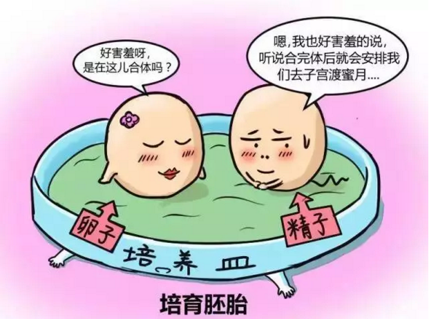 去那里试管婴儿好南京鼓楼试管婴儿全国排名