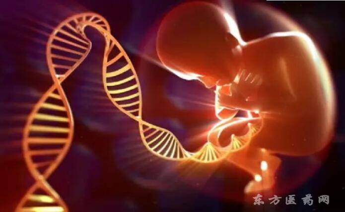 试管婴儿打麻药吗试管婴儿取卵打麻药吗