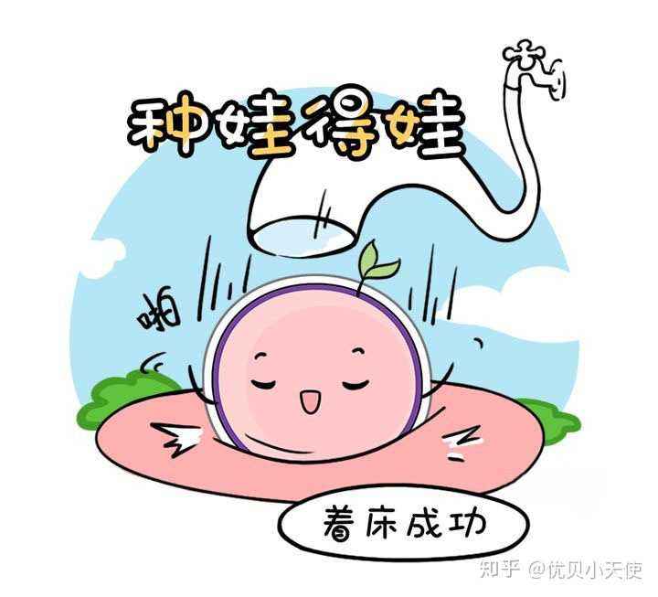 试管婴儿有缺陷试管婴儿能决定男女吗