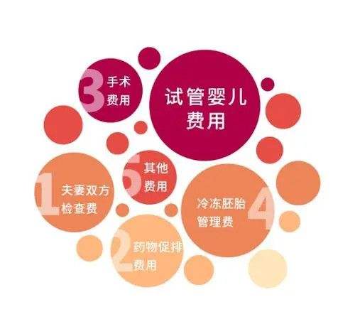 试管婴儿的级别试管婴儿过程痛苦吗