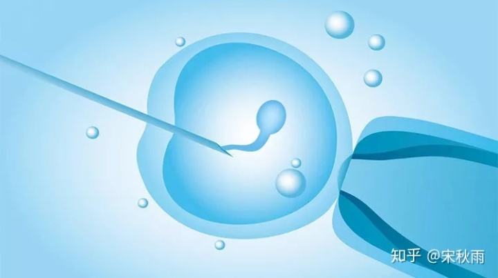 人工助孕和试管婴儿的区别人工授精和试管婴儿哪个更好
