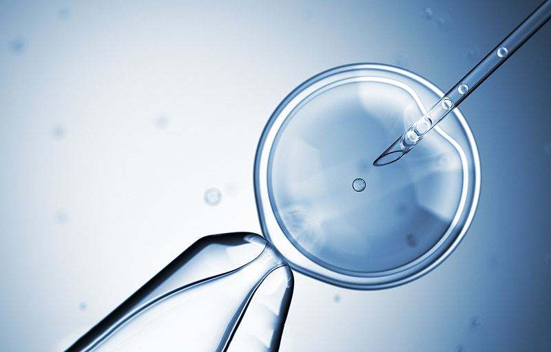 试管婴儿养胚胎(移植后吃什么容易着床)