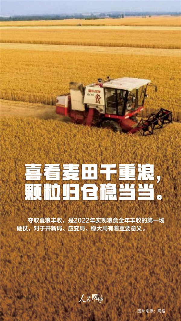 人民热评：夏收夏种农事忙，颗粒归仓稳当当