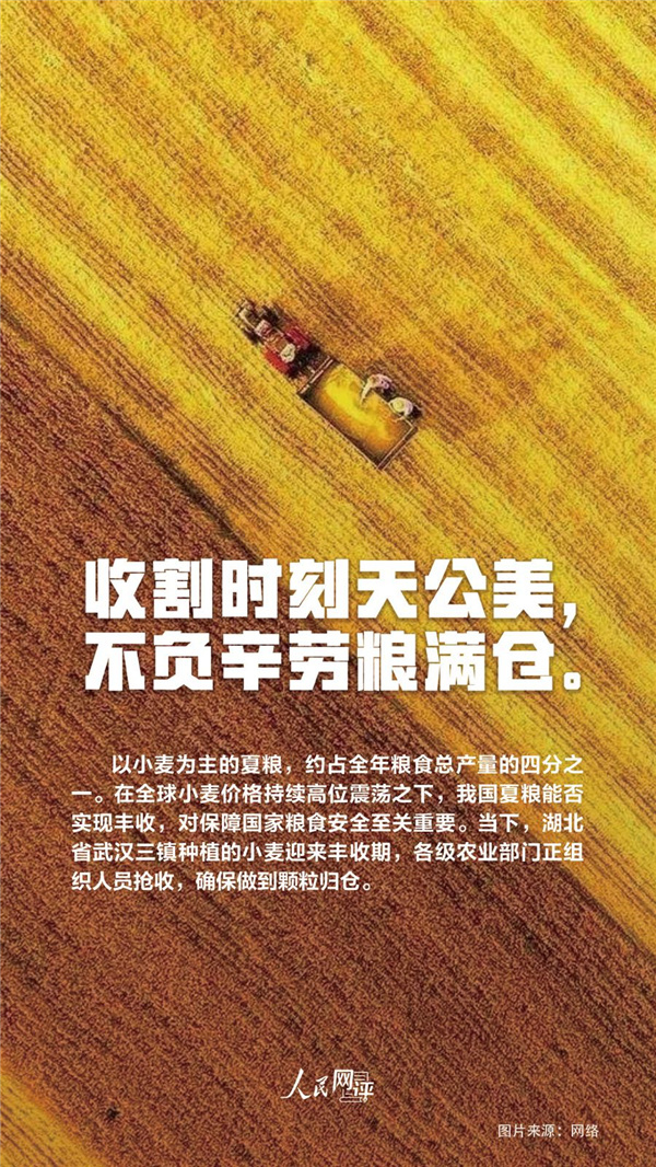 人民热评：夏收夏种农事忙，颗粒归仓稳当当
