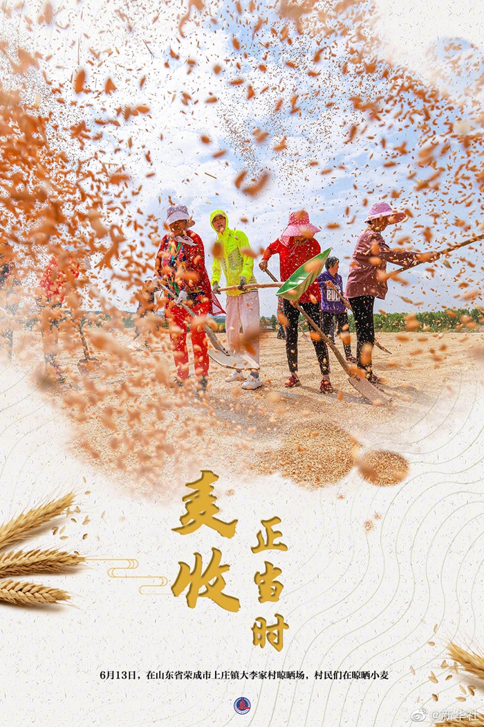 大国“粮”策丨麦香四溢！好一幅麦收全景图