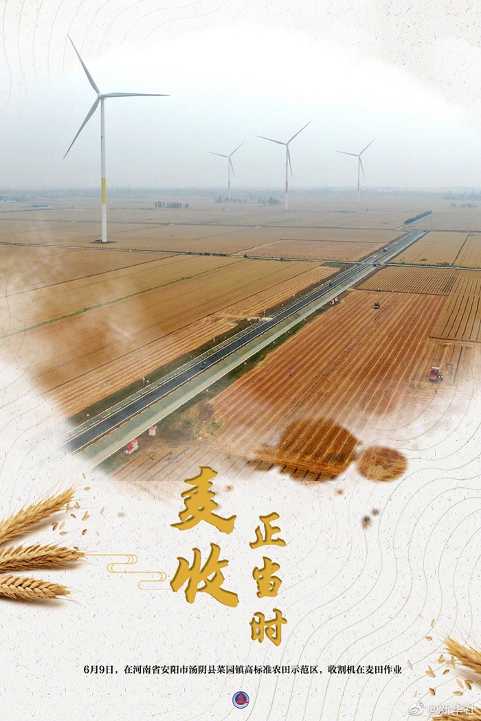 大国“粮”策丨麦香四溢！好一幅麦收全景图