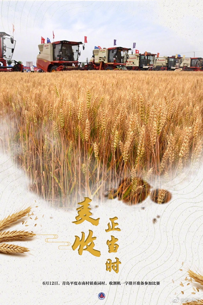 大国“粮”策丨麦香四溢！好一幅麦收全景图