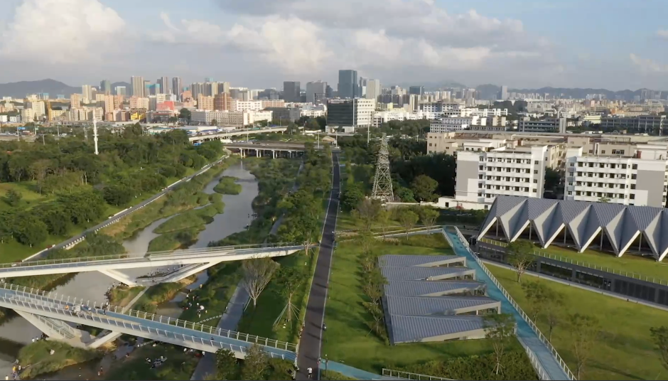 江河奔腾看中国・珠江新颜｜珠三角建成绿色生态水网