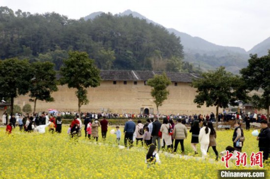 世遗福建土楼华安景区：油菜花开迎客来
