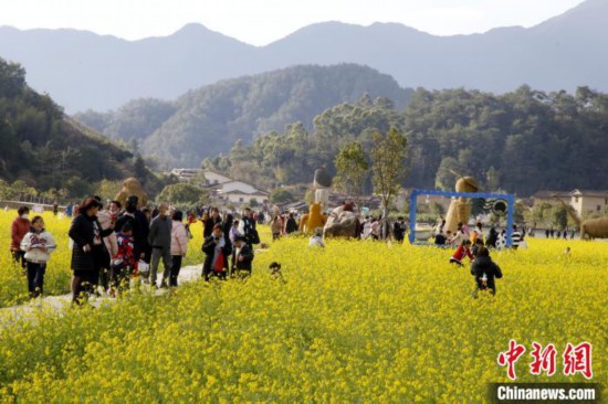世遗福建土楼华安景区：油菜花开迎客来