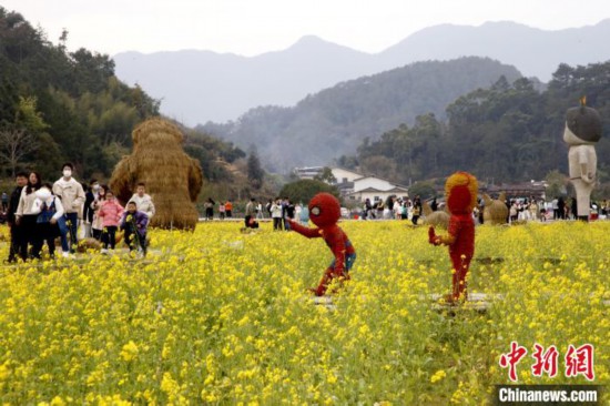 世遗福建土楼华安景区：油菜花开迎客来