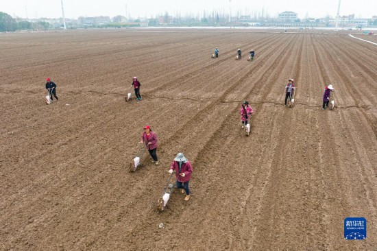 荆楚大地农事忙