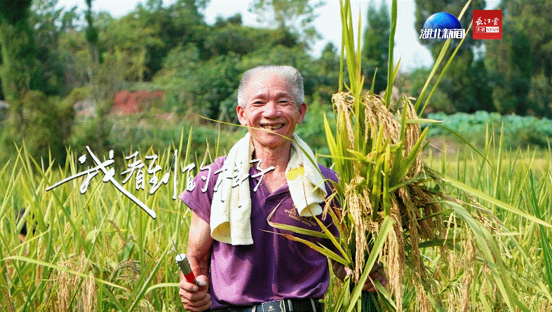 信心中国丨江湖自有姓名